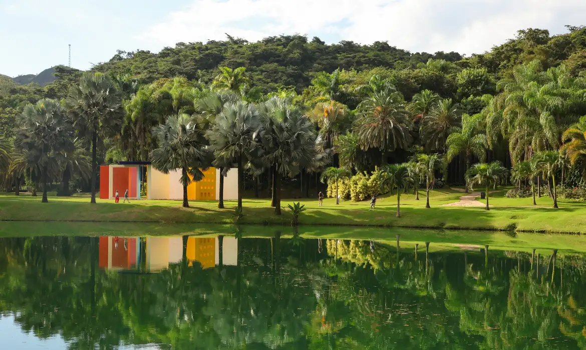 Inhotim anuncia três novas exposições para celebrar 20 anos; confira o que vem por aí